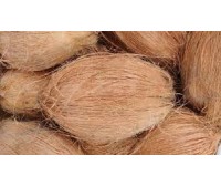 Fresh Indian Semi Husked Coconut