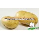 fresh potatoes exporters/fresh russet potato/low starch potatoes