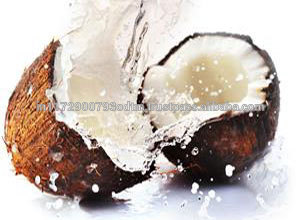 Bulk Sale of Indian Semi Husked Coconuts