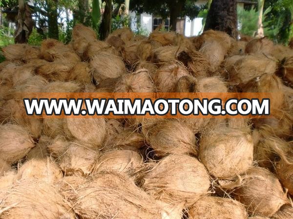 Fresh Mature Coconut