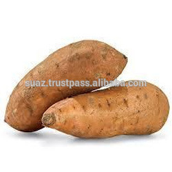 Fresh Sweet Potatoes , shakarkandi , Sanghary , batata , patata dolce , Subkartoffel , yam